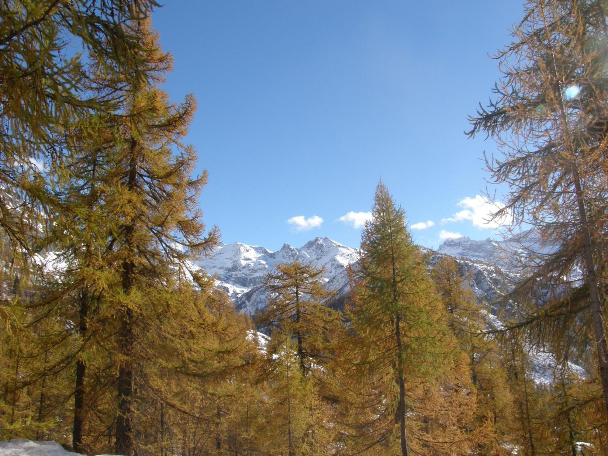 Hotel Gran Baita Gressoney-Saint-Jean Bagian luar foto