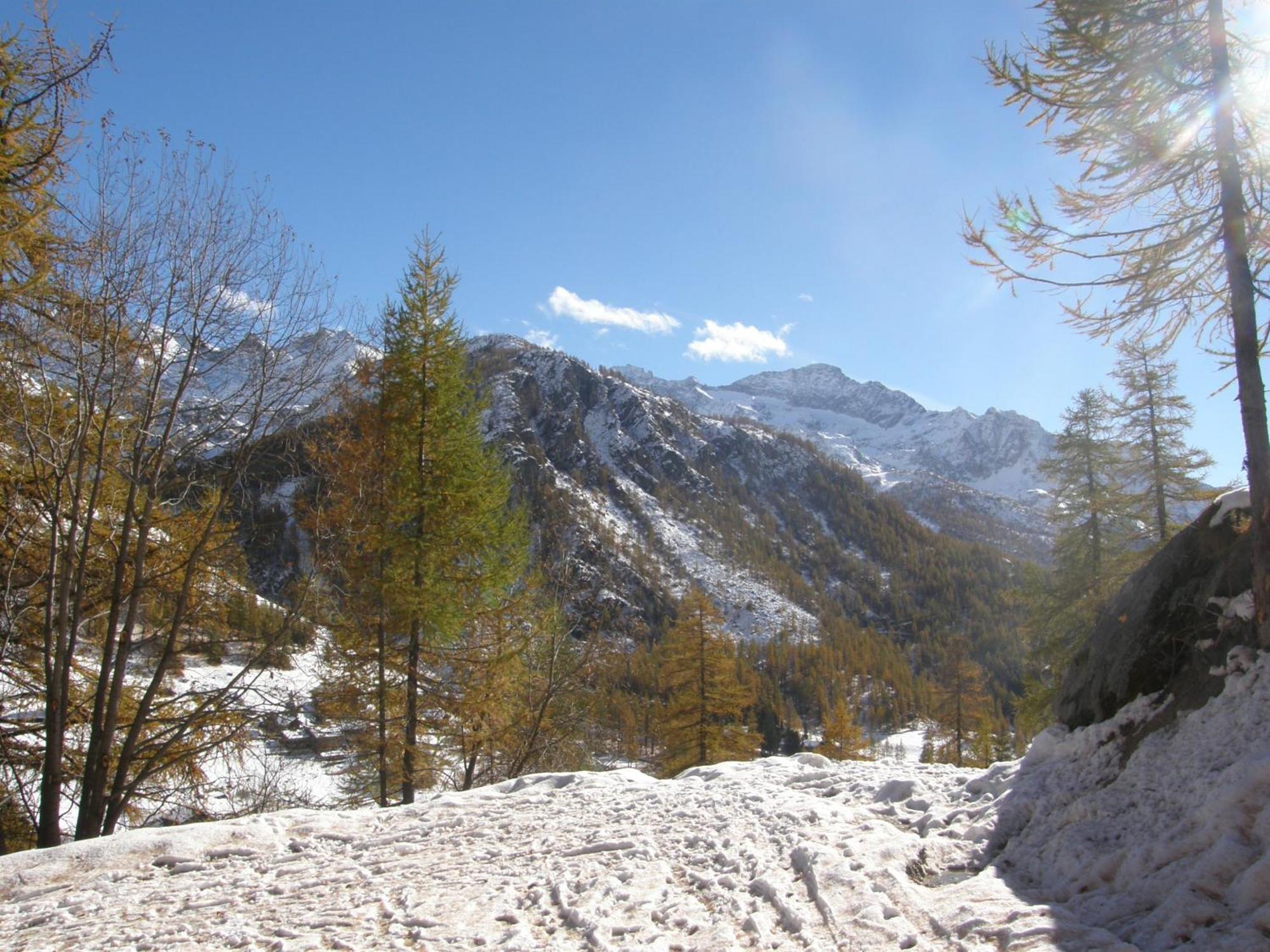 Hotel Gran Baita Gressoney-Saint-Jean Bagian luar foto