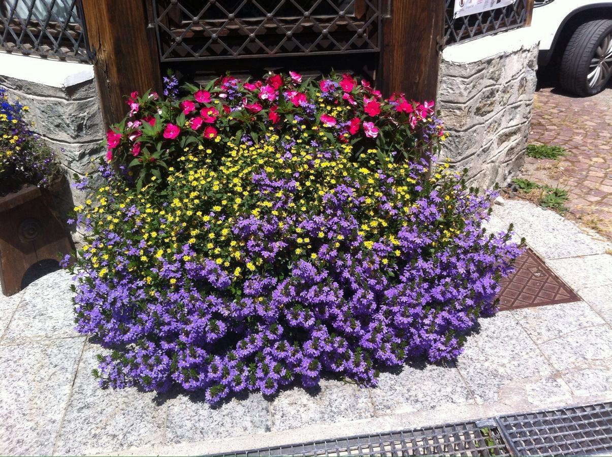 Hotel Gran Baita Gressoney-Saint-Jean Bagian luar foto