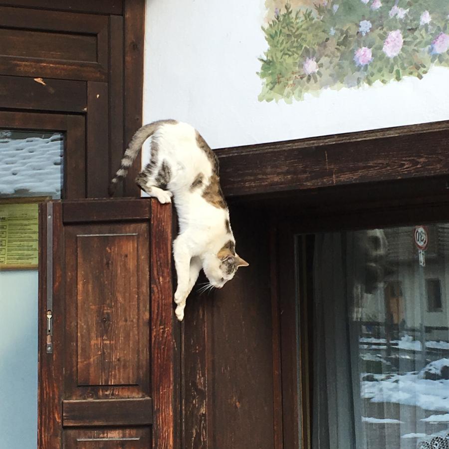Hotel Gran Baita Gressoney-Saint-Jean Bagian luar foto